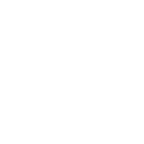 Lady V